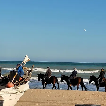 A'mmare Tortoreto